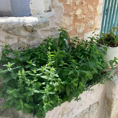 Casa de Férias Sergios