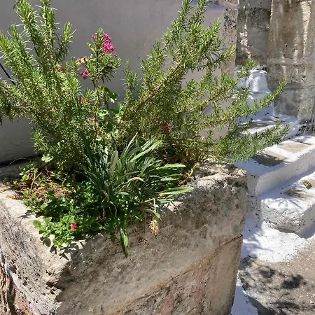 Vakantiehuis Sergios