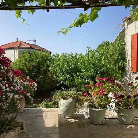 Vakantiehuis Sergios